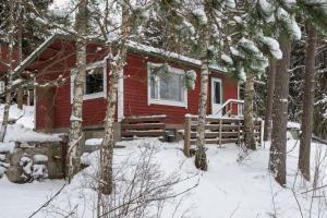 a red cabin in the snow with trees at House in Beautiful Nature by the Sea Bay with Sauna & BBQ in Salpar +24 photos