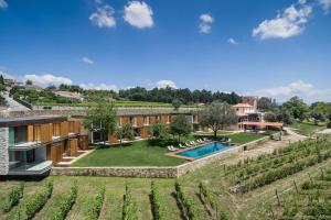 een huis in een wijngaard met een zwembad bij Torre de Gomariz Wine & Spa Hotel in Cervães