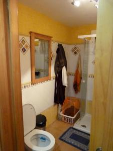 ein Badezimmer mit Toilette und Dusche in der Unterkunft Appartement Punta Almina 100 m from t h e sea in San Luis de Sabinillas