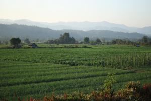Paesaggio naturale nelle vicinanze dell'affittacamere