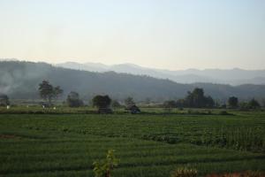 Paesaggio naturale nelle vicinanze dell'affittacamere