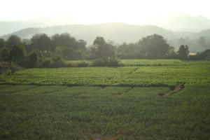 Paesaggio naturale nelle vicinanze dell'affittacamere
