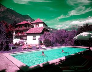 Dos personas nadando en una piscina frente a una casa en Plonerhof, en Lagundo