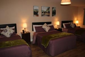 una camera d'albergo con due letti e due lampade di O'Learys Lodge a Doolin