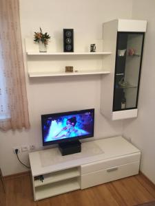 TV a/nebo společenská místnost v ubytování Apartment Tihana