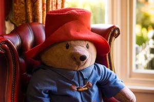 misia w czerwonym kapeluszu siedzącego na krześle w obiekcie Roseleigh w mieście Buxton