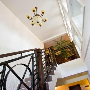 Fotografia z galérie ubytovania Pension Eden v Želiezovciach