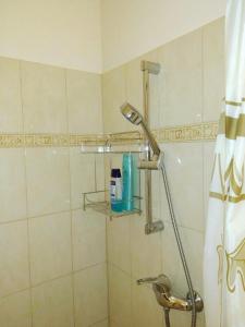 a shower with a shower head in a bathroom at "ELITE" in the Center near the Theater in Chernivtsi +29 photos