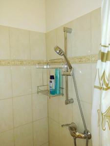 a shower with a shower head in a bathroom at "ELITE" in the Center near the Theater in Chernivtsi