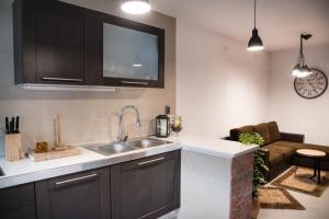 Kuchyňa alebo kuchynka v ubytovaní Đeni luxury apartment