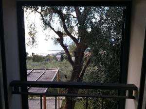 Gallery image of La Torretta in Imperia