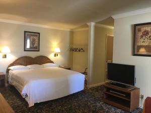 a hotel room with a bed and a flat screen tv at Grand Inn財神客棧 in Monterey Park