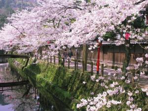 Giardino di Kinosaki Onsen Nishimuraya Hotel Shogetsutei