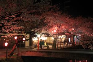Giardino di Kinosaki Onsen Nishimuraya Hotel Shogetsutei