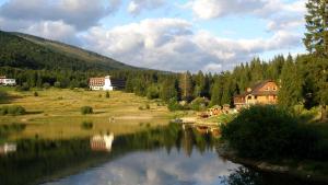 vista su un lago con una casa e alberi di Krpáčovo, Nízke Tatry - chata na kraji lesa a Dolná Lehota