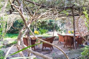 a patio with a table and chairs under a tree at Sa Casa Rotja in Sineu