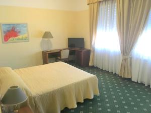 TV a/nebo společenská místnost v ubytování Hotel Internazionale Gorizia