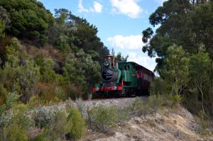 
a train on a train track near a forest at Castaway Holiday Apartments in Strahan

