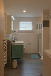 La salle de bains est pourvue d'un lavabo et d'une douche. dans l'établissement Zum Fuchsbau, à Hettstadt