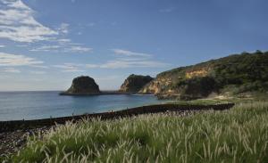 a beach with rocks in the water and grass at Jeeva Beloam Beach Camp in Tanjung Ringgit