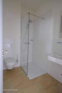 a bathroom with a glass shower and a toilet at Wirtshaus "Alte Post" in Zandt