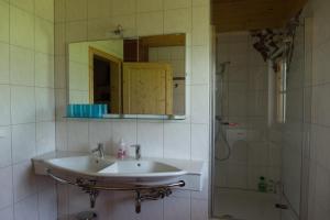 y baño con lavabo y ducha con espejo. en Stillbacherhütte, en Mariahof