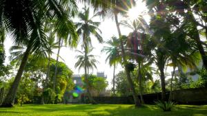 Taman di luar Sagarika Beach Hotel