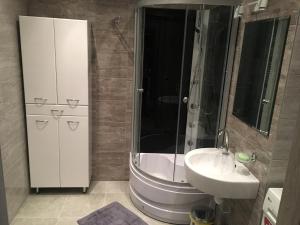 W łazience znajduje się prysznic i umywalka. w obiekcie Apartamenty ZC Rzeszów w mieście Rzeszów
