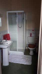 een badkamer met een douche, een toilet en een wastafel bij Victoria Inn in Alston