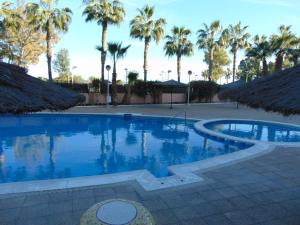 a large swimming pool with palm trees in the background at Apartamentos varios con 2 dorm en Marina Dor , la playa de Amplaries 47 , vista lateral al mar in Oropesa del Mar