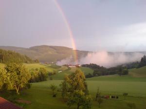 einen Regenbogen über einem grünen Feld mit Regenbogen in der Unterkunft Hotel des Glücks - Landhotel Fischl in Sankt Oswald