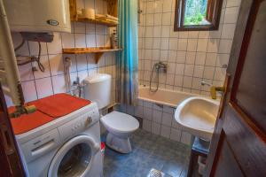 un piccolo bagno con lavatrice e lavandino di Guest house Jezera a Žabljak
