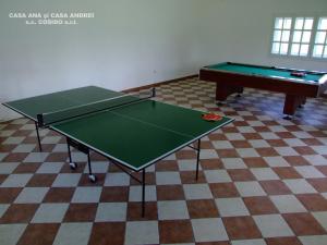 una mesa de ping pong verde en una habitación en Casa Andrei Vatra Dornei, en Dealu Floreni