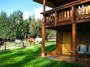 Shadow Mountain Cabins