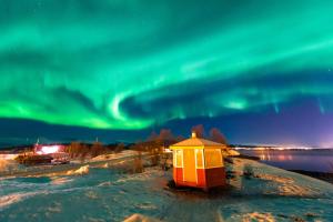 Fotografie z fotogalerie ubytování Vikran Vacation: Sea fishing and Northern Lights v destinaci Vikran