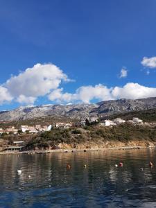 Gallery image of Apartments Niko in Stinica +12 photos