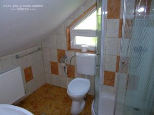 a bathroom with a toilet and a shower and a window at Casa Ana Vatra Dornei in Dealu Floreni