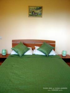 1 dormitorio con 1 cama verde y 2 almohadas verdes en Casa Ana Vatra Dornei, en Dealu Floreni