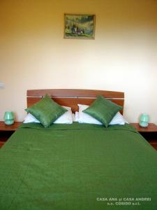 a bedroom with a green bed with two green pillows at Casa Ana Vatra Dornei in Dealu Floreni