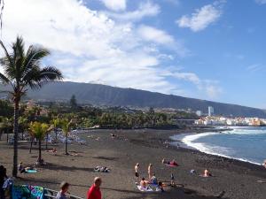 プエルト・デ・ラ・クルスにあるCerca de Playa Jardínの水辺の一団