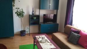 uma sala de estar com um sofá e uma televisão em Apartman Lux em Szeged