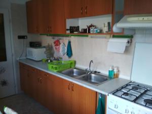 Küche/Küchenzeile in der Unterkunft Apartman Lux
