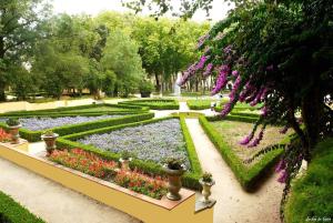 Foto da galeria de Mafra Guest House em Mafra