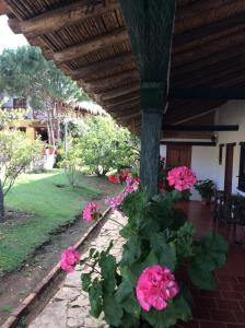 un ramo de flores rosas en un patio en HOTEL CAMPESTRE LA CASONA VILLA de LEYVA, en Villa de Leyva