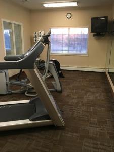 Fitness centrum a/nebo fitness zařízení v ubytování Aspen Hotel