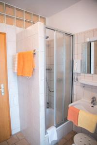 La salle de bains est pourvue d'une douche et d'un lavabo. dans l'établissement Hotel Garni Trumm, à Dillingen an der Donau