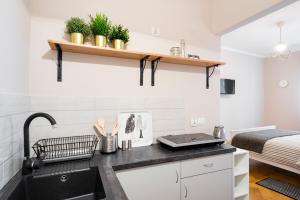 Kuchnia lub aneks kuchenny w obiekcie Apartamenty i Studia HERBARIUM