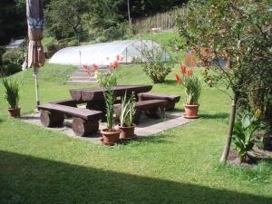 een picknicktafel en potplanten in een tuin bij Apartmán Pod lesem in Lipova Lazne