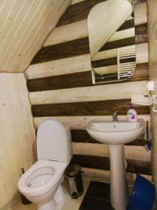 a bathroom with a toilet and a sink at Під горою in Sheshory