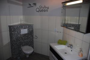 a bathroom with a toilet and a sink and a mirror at Ferienhof Blunck in Wangels